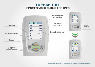 СКЭНАР-1-НТ (исполнение 02.2) Скэнар Оптима в Кашире купить Скэнар официальный сайт - denasvertebra.ru 