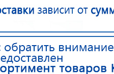 Электроды Скэнар -  двойной овал 55х90 мм купить в Кашире, Электроды Скэнар купить в Кашире, Скэнар официальный сайт - denasvertebra.ru