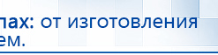 Электроды Скэнар -  двойной овал 55х90 мм купить в Кашире, Электроды Скэнар купить в Кашире, Скэнар официальный сайт - denasvertebra.ru